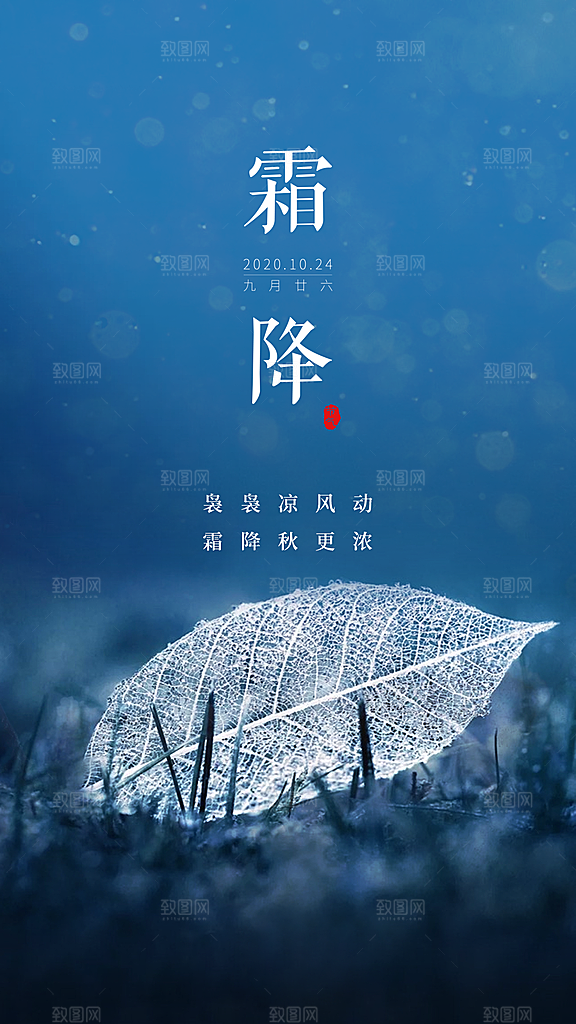 霜降节气简约大气海报