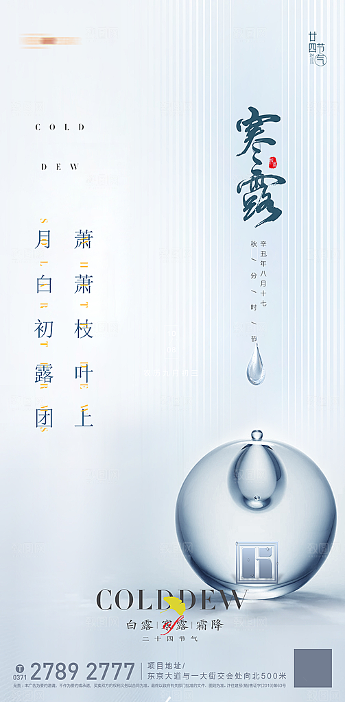 寒露节气简约大气海报