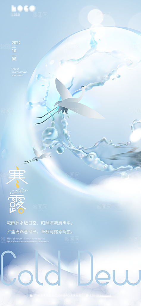 寒露节气简约大气海报