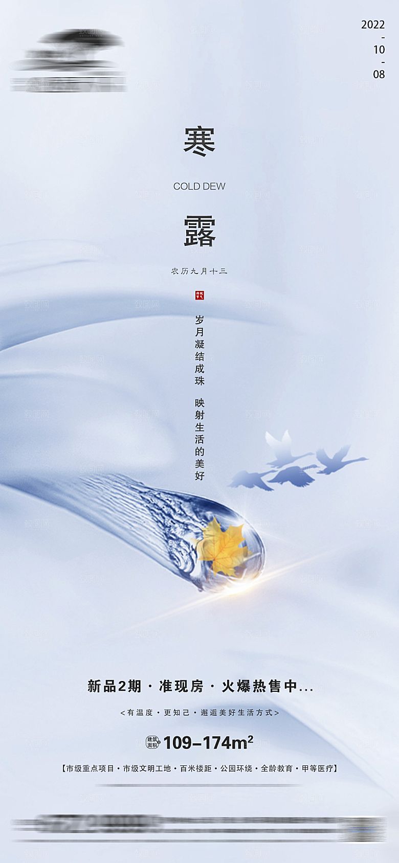 寒露节气简约大气海报