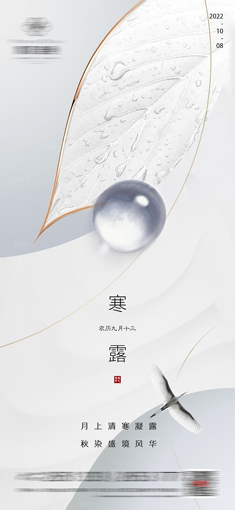 寒露节气简约大气海报
