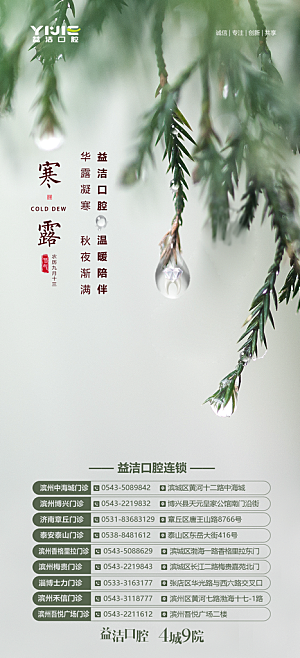 传统节日寒露宣传海报