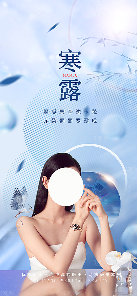 寒露节气简约大气海报