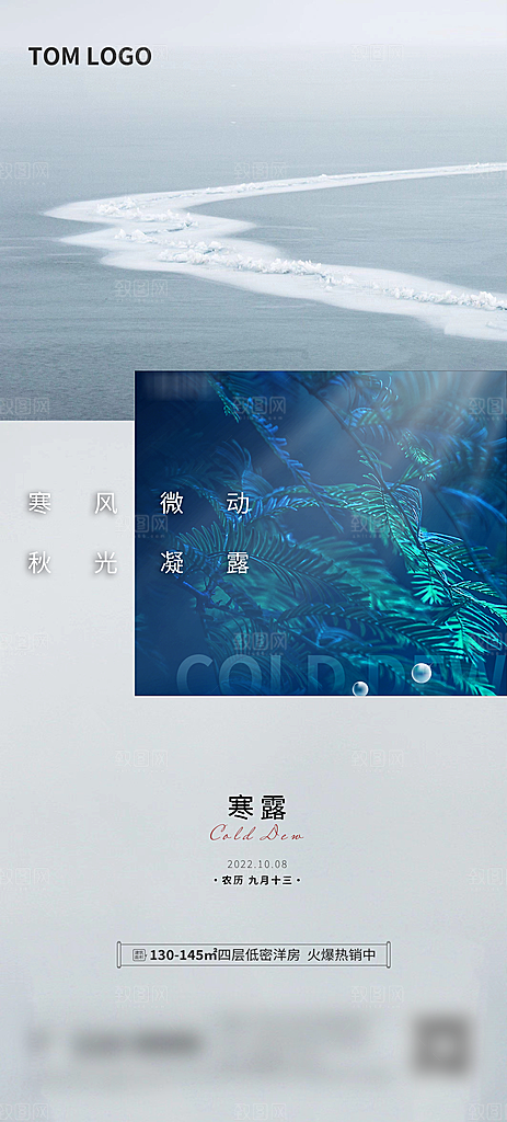 寒露节气简约大气海报