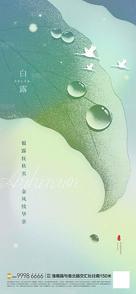 寒露节气简约大气海报