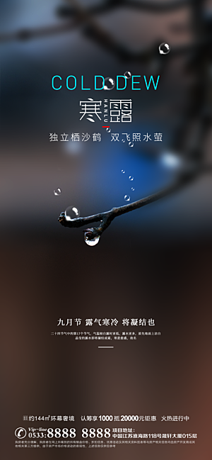 寒露节气简约大气海报