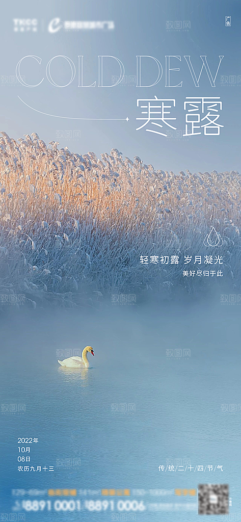 寒露节气简约大气海报