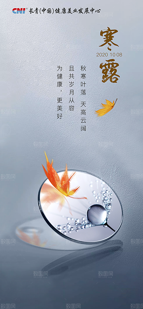 寒露节气简约大气海报