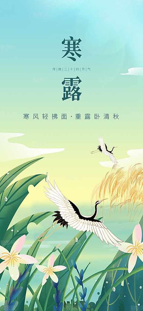 寒露节气简约大气海报