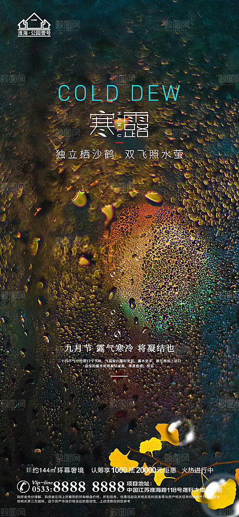 寒露节气简约大气海报