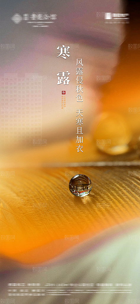 寒露节气简约大气海报