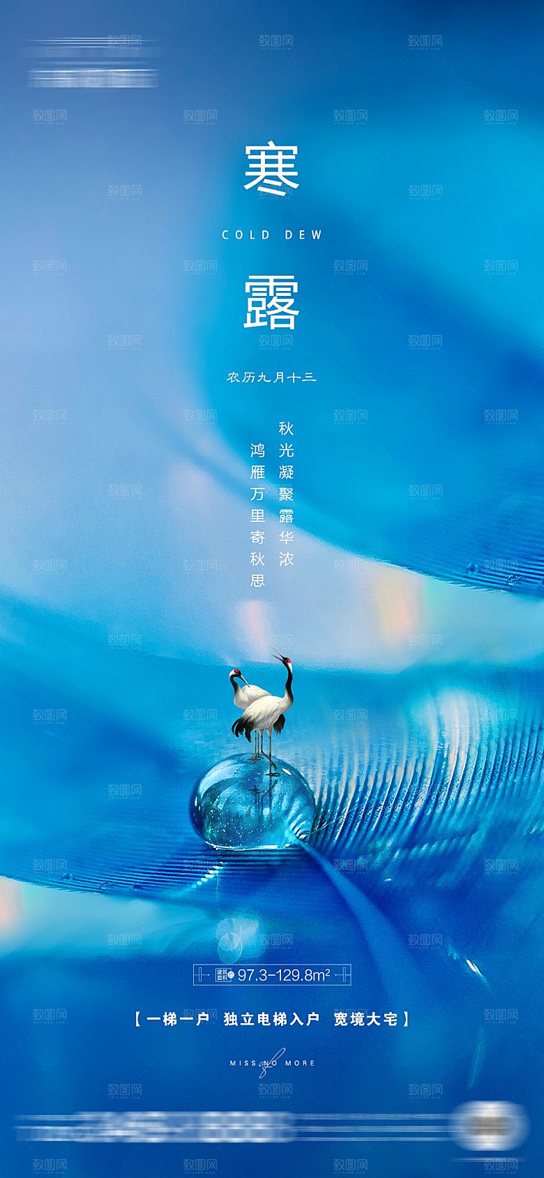 寒露节气简约大气海报