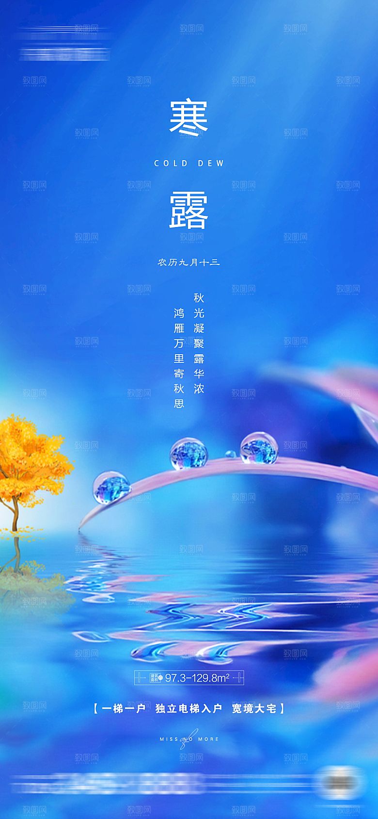 寒露节气简约大气海报