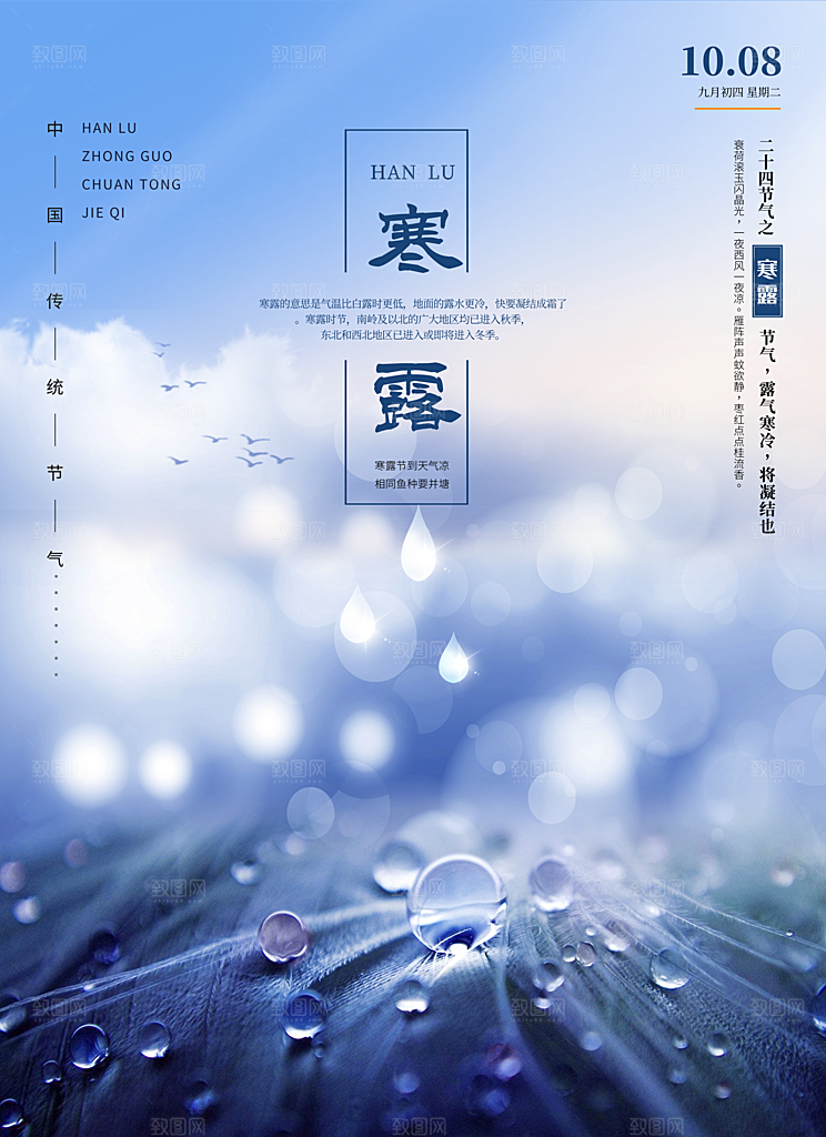 二十四节气寒露海报