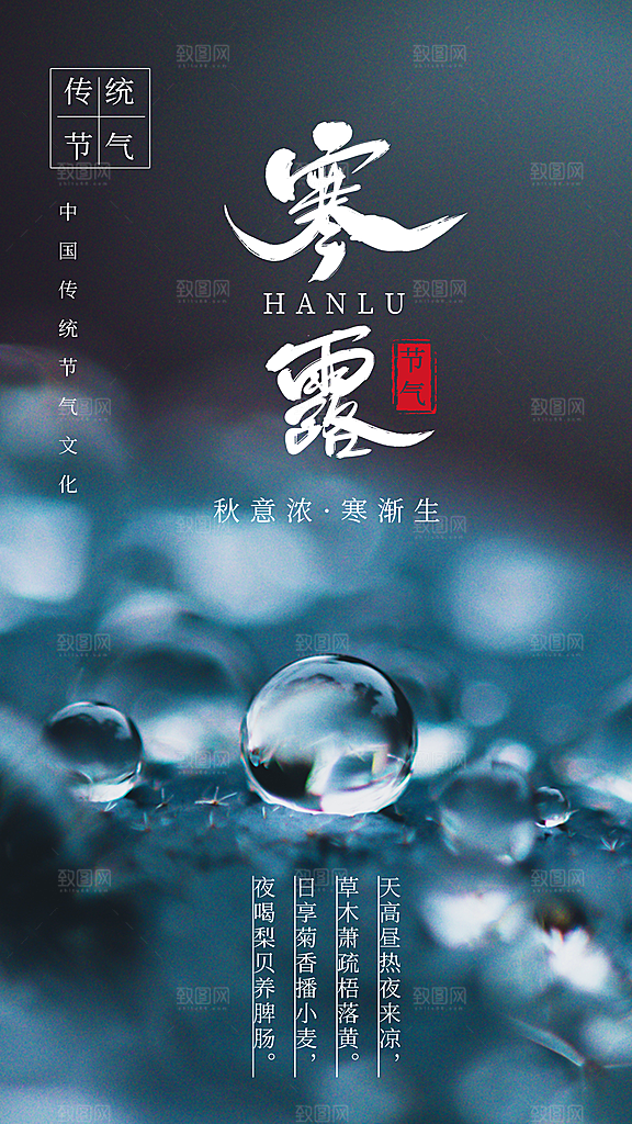 寒露节气摄影图海报