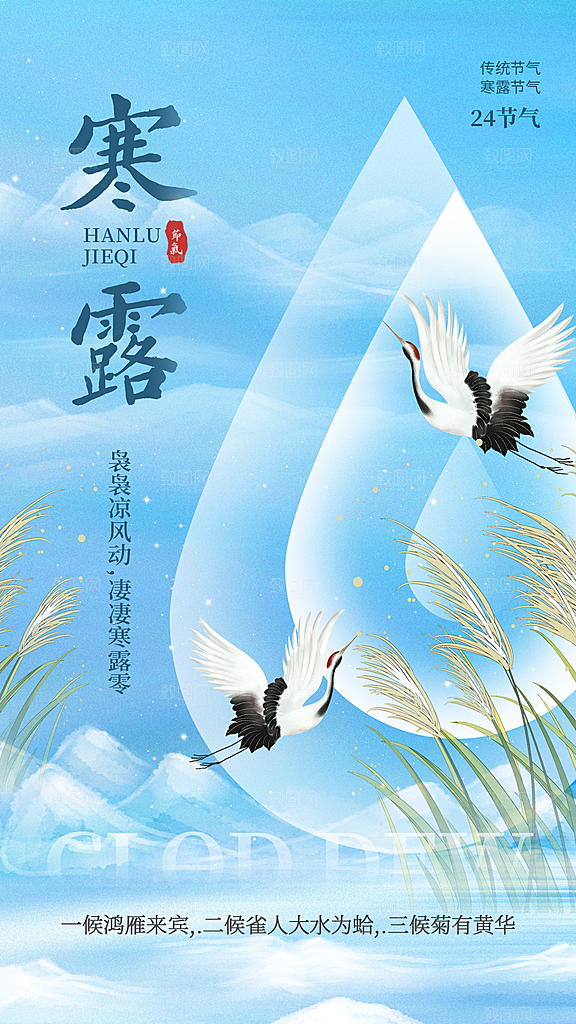 弥散风寒露节气全屏海报