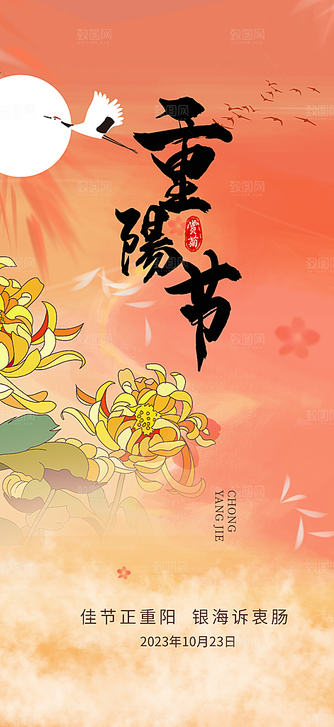 节日重阳节敬老爱老宣传活动海报