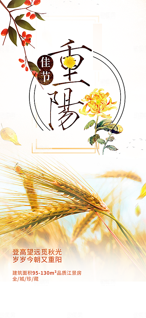重阳节敬老爱老宣传活动海报