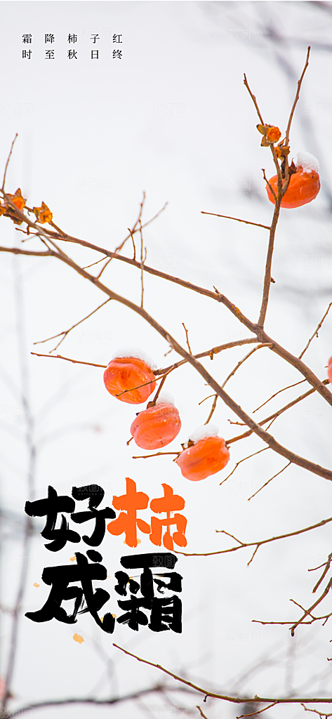 霜降节气传统海报