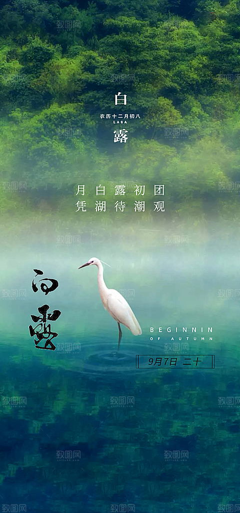 白露节气白露海报