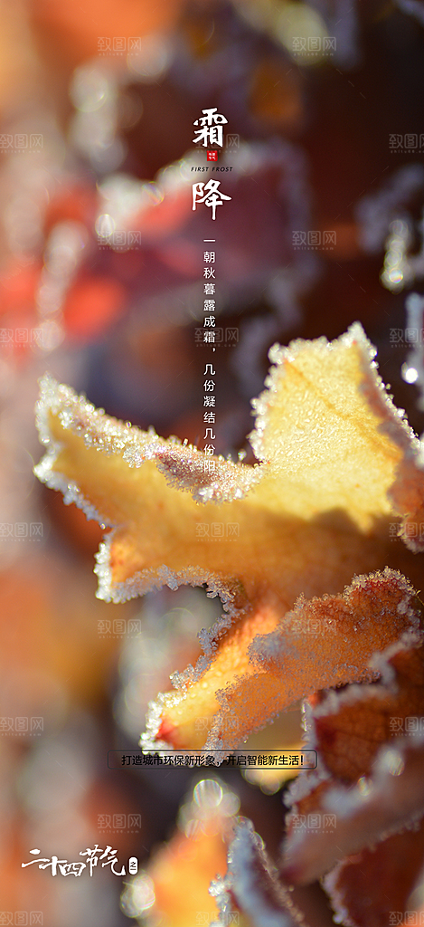 霜降节气霜降海报