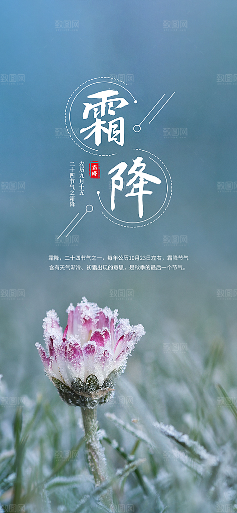 霜降节气冬天海报