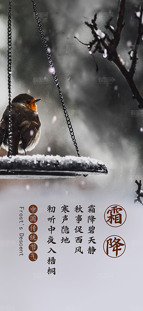 霜降节气霜降海报