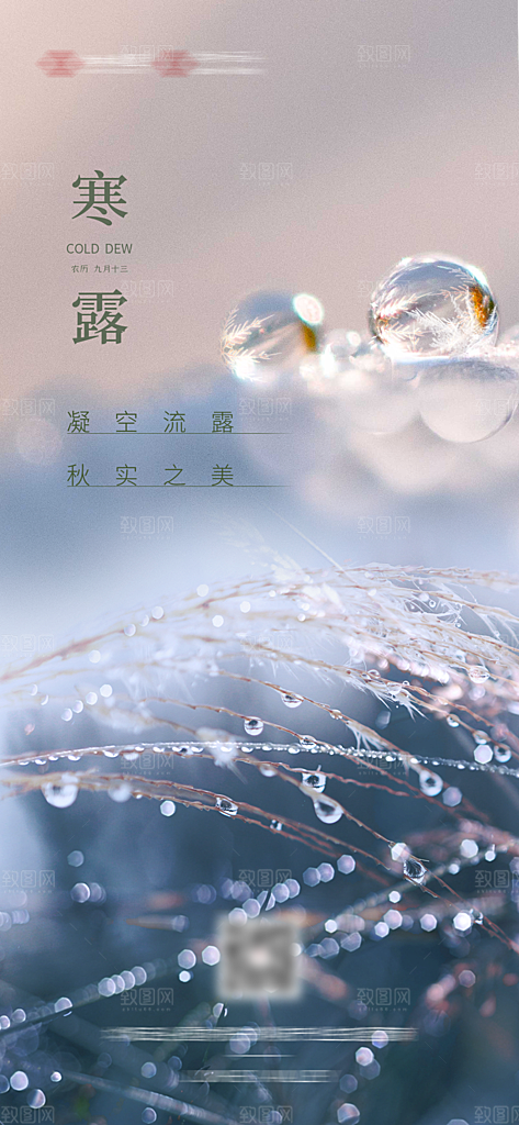 寒露节气简约大气海报