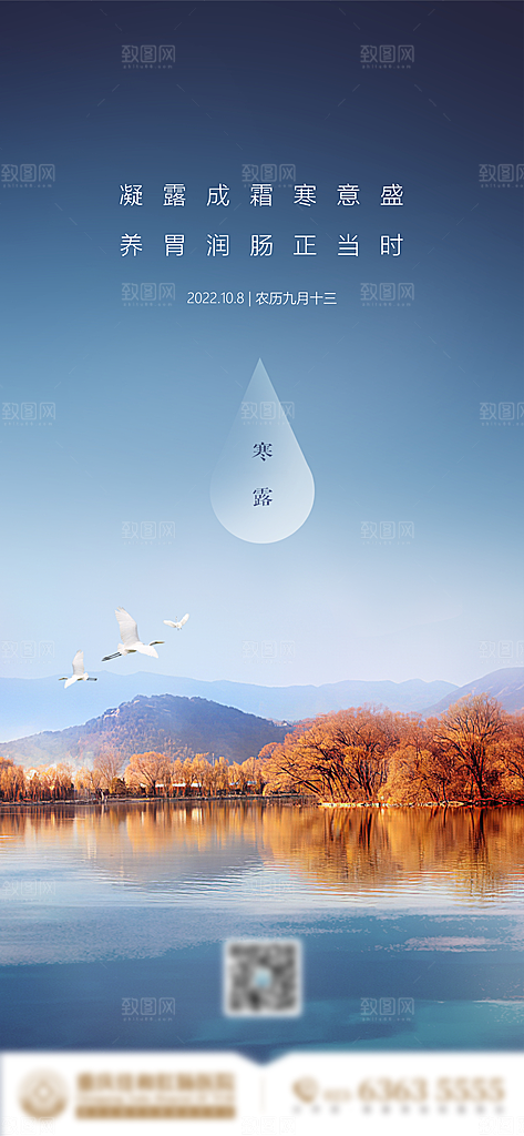 寒露节气简约大气海报