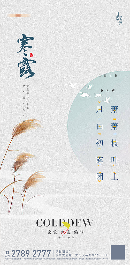 寒露节气简约大气海报