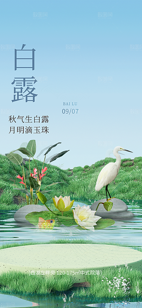 大气传统白露二十四节气海报