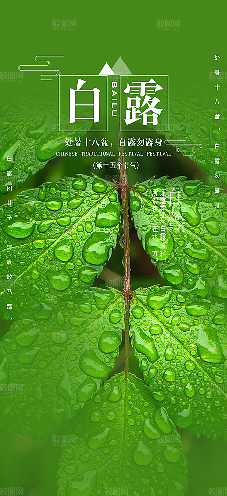 大气传统白露二十四节气海报