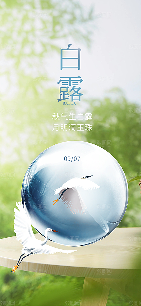 大气传统白露二十四节气海报