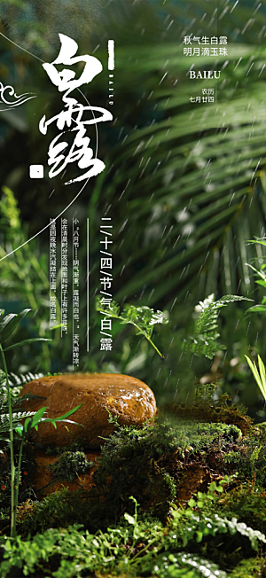 大气传统白露二十四节气海报