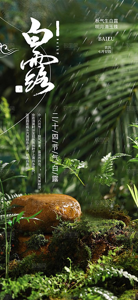 大气传统白露二十四节气海报