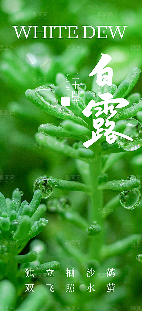 大气传统白露二十四节气海报
