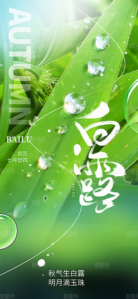 大气传统白露二十四节气海报