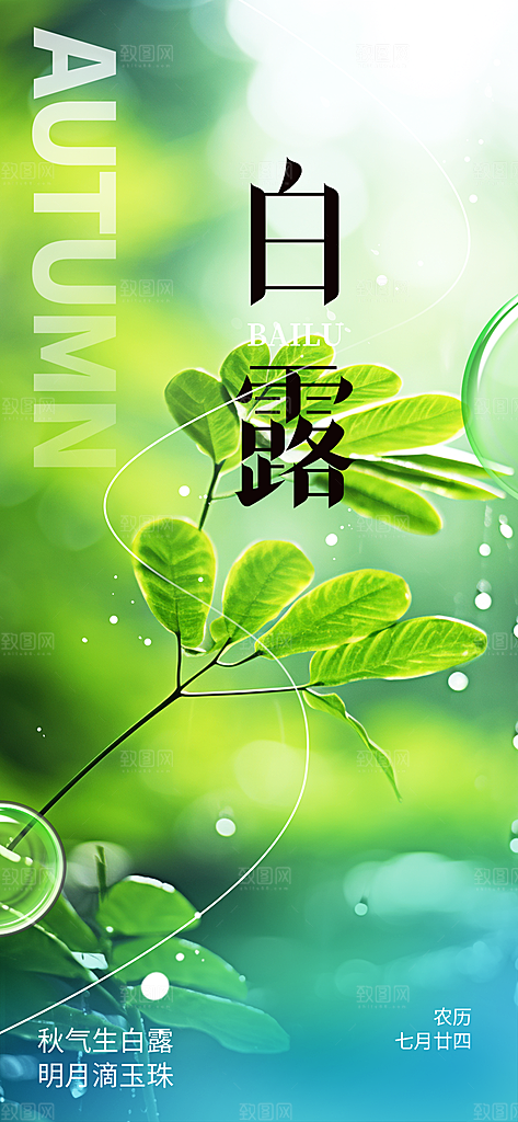 大气传统白露二十四节气海报