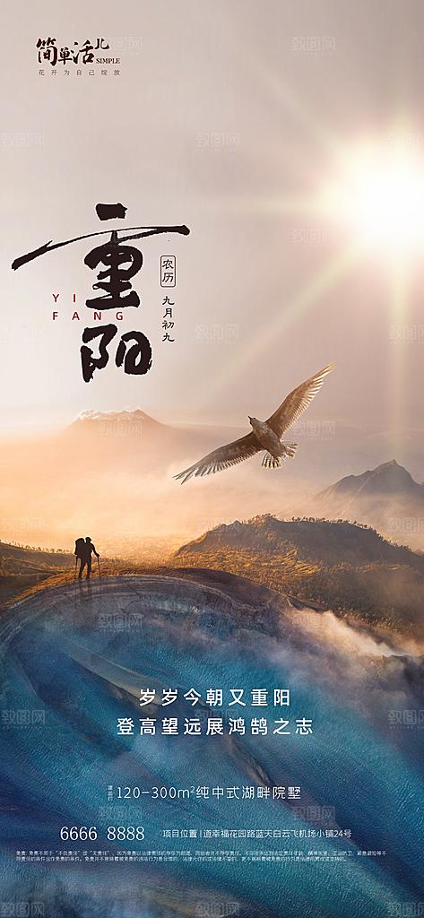 重阳节节日简约大气海报