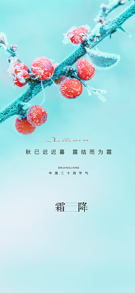 霜降插画节气大气唯美简约节日海报