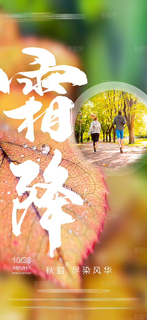 霜降插画简约唯美大气节日节气海报