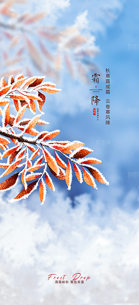 霜降插画简约唯美大气节日节气海报