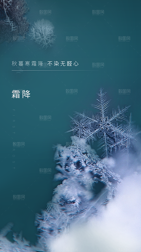 霜降插画简约节气唯美大气节日海报