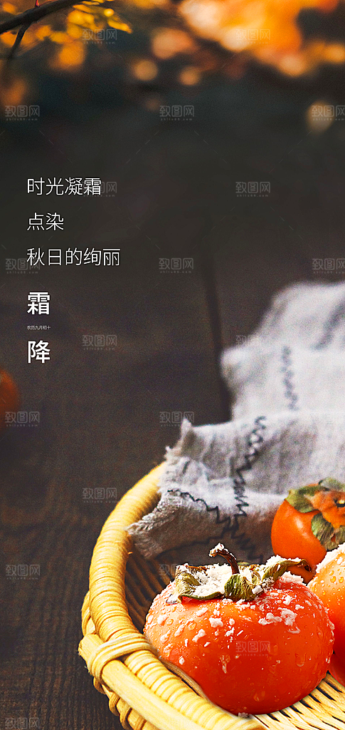 霜降大气节日插画简约唯美节气海报