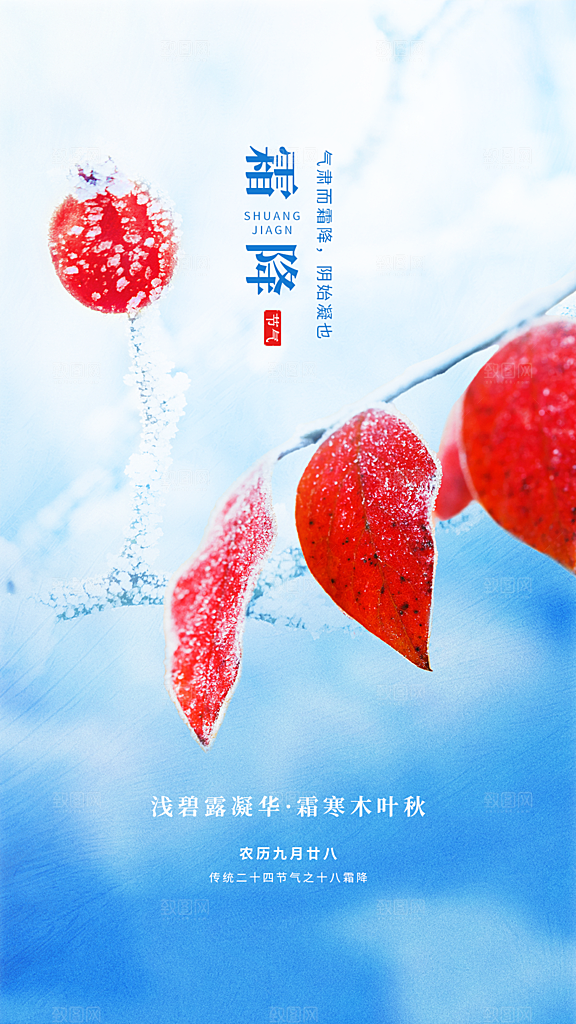 霜降大气插画节日节气唯美简约海报