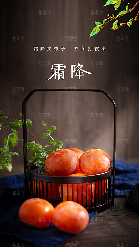 霜降大气插画节日节气唯美简约海报