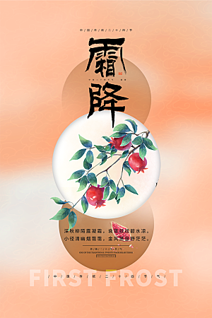 霜降大气插画节日节气唯美简约海报