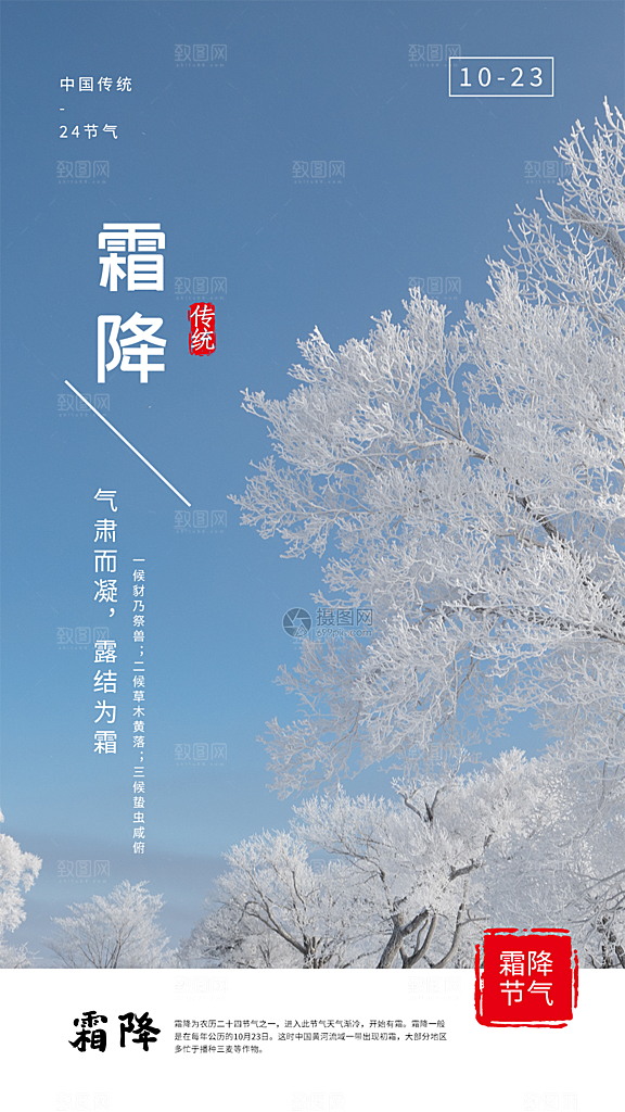 霜降大气插画节日节气唯美简约海报