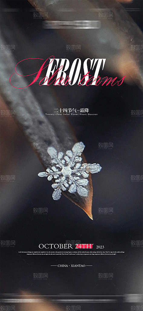 霜降节日节气唯美简约大气插画海报