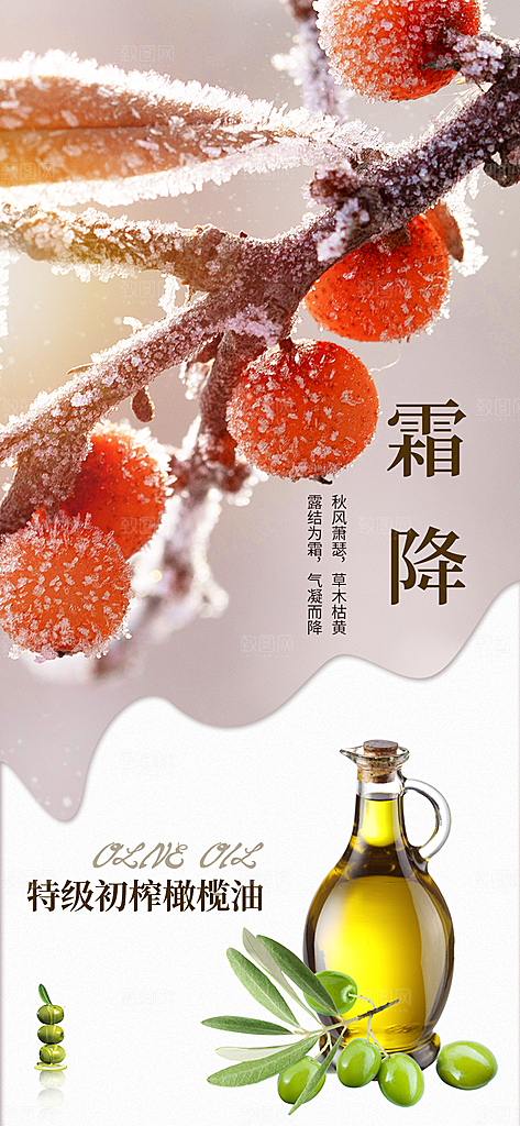 霜降节日节气唯美简约大气插画海报